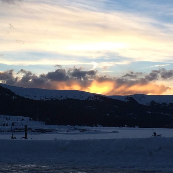 Meet your Posher, Chloe - Picture 1 of 1